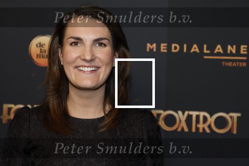 Amsterdam 18 januari 2025
Premiere Foxtrot in het deLaMar theater . Iris van den Ende kwam met goede vriend Dennis