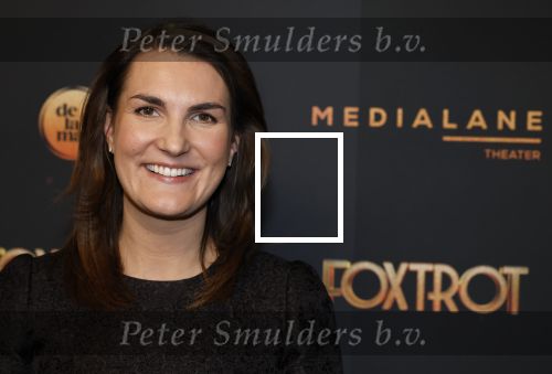 Amsterdam 18 januari 2025
Premiere Foxtrot in het deLaMar theater . Iris van den Ende kwam met goede vriend Dennis