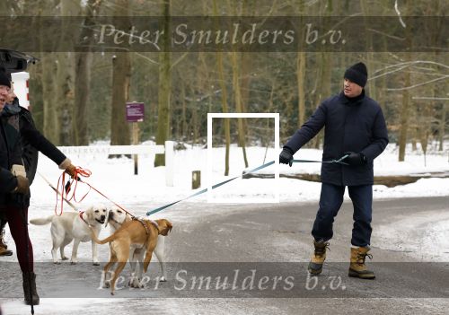Huizen 11 januari 2026
Linda de Mol en haar partner Jeroen Rietbergen laten in een koud Huizen hun twee honden uit . Ze zijn beide warm aangekleed .