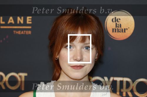 Amsterdam 18 januari 2025
Premiere Foxtrot in het deLaMar theater . Jolijn Henneman