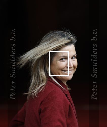 Amsterdam 12 januari 2026
Nieuwjaarsreceptie Koning Willem Alexander en Koningin Maxima bij het paleis op de dam .