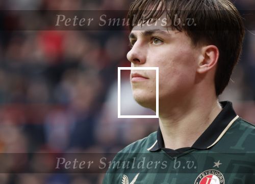 Eindhoven, 1 Februari 2026
Kompetitiewedstrijd PSV-Feyenoord, eindstand 3-0
Leo Sauer