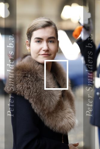 Amsterdam 12 januari 2026
Nieuwjaarsreceptie Koning Willem Alexander en Koningin Maxima bij het paleis op de dam . Vandaag komen er vooral mensen uit de politiek. Lidewij de Vos
