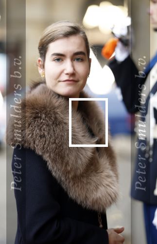 Amsterdam 12 januari 2026
Nieuwjaarsreceptie Koning Willem Alexander en Koningin Maxima bij het paleis op de dam . Vandaag komen er vooral mensen uit de politiek. Lidewij de Vos