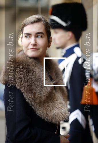Amsterdam 12 januari 2026
Nieuwjaarsreceptie Koning Willem Alexander en Koningin Maxima bij het paleis op de dam . Vandaag komen er vooral mensen uit de politiek. Lidewij de Vos