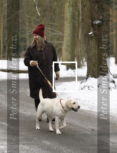 Huizen 11 januari 2026
Linda de Mol en haar partner Jeroen Rietbergen laten in een koud Huizen hun twee honden uit . Ze zijn beide warm aangekleed .