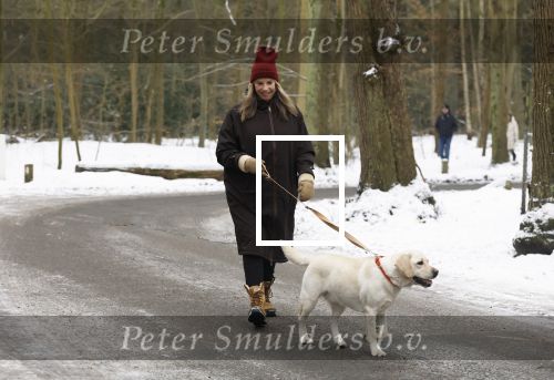 Huizen 11 januari 2026
Linda de Mol en haar partner Jeroen Rietbergen laten in een koud Huizen hun twee honden uit . Ze zijn beide warm aangekleed .