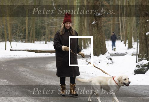 Huizen 11 januari 2026
Linda de Mol en haar partner Jeroen Rietbergen laten in een koud Huizen hun twee honden uit . Ze zijn beide warm aangekleed .