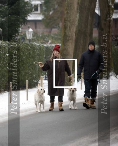 Huizen 11 januari 2026
Linda de Mol en haar partner Jeroen Rietbergen laten in een koud Huizen hun twee honden uit . Ze zijn beide warm aangekleed .