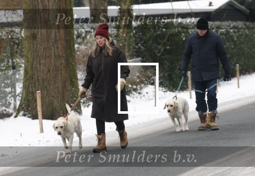 Huizen 11 januari 2026
Linda de Mol en haar partner Jeroen Rietbergen laten in een koud Huizen hun twee honden uit . Ze zijn beide warm aangekleed .