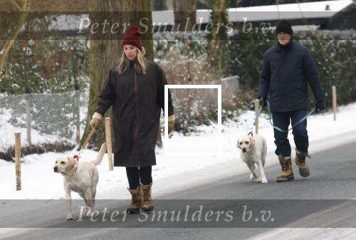 Huizen 11 januari 2026
Linda de Mol en haar partner Jeroen Rietbergen laten in een koud Huizen hun twee honden uit . Ze zijn beide warm aangekleed .