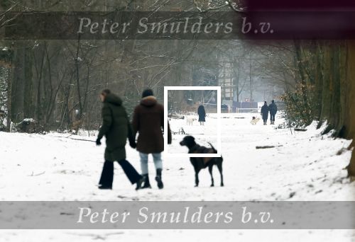 Huizen 11 januari 2026
Linda de Mol en haar partner Jeroen Rietbergen laten in een koud Huizen hun twee honden uit . Ze zijn beide warm aangekleed .