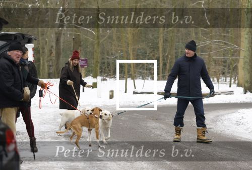 Huizen 11 januari 2026
Linda de Mol en haar partner Jeroen Rietbergen laten in een koud Huizen hun twee honden uit . Ze zijn beide warm aangekleed .