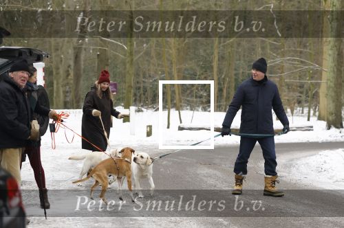 Huizen 11 januari 2026
Linda de Mol en haar partner Jeroen Rietbergen laten in een koud Huizen hun twee honden uit . Ze zijn beide warm aangekleed .
