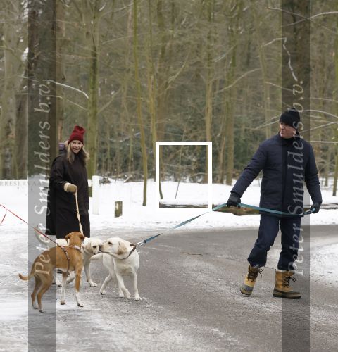 Huizen 11 januari 2026
Linda de Mol en haar partner Jeroen Rietbergen laten in een koud Huizen hun twee honden uit . Ze zijn beide warm aangekleed .