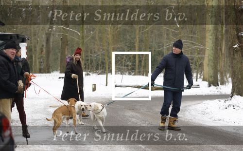 Huizen 11 januari 2026
Linda de Mol en haar partner Jeroen Rietbergen laten in een koud Huizen hun twee honden uit . Ze zijn beide warm aangekleed .