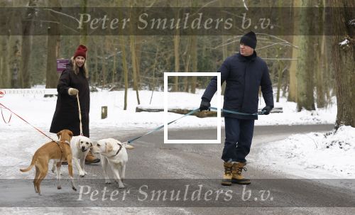 Huizen 11 januari 2026
Linda de Mol en haar partner Jeroen Rietbergen laten in een koud Huizen hun twee honden uit . Ze zijn beide warm aangekleed .
