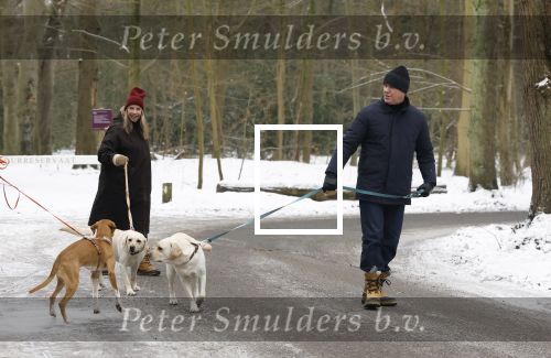 Huizen 11 januari 2026
Linda de Mol en haar partner Jeroen Rietbergen laten in een koud Huizen hun twee honden uit . Ze zijn beide warm aangekleed .