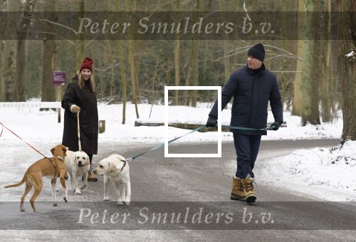 Huizen 11 januari 2026
Linda de Mol en haar partner Jeroen Rietbergen laten in een koud Huizen hun twee honden uit . Ze zijn beide warm aangekleed .
