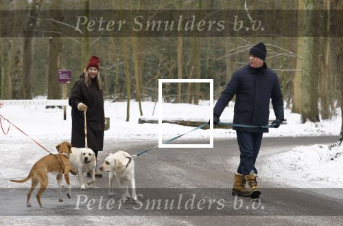 Huizen 11 januari 2026
Linda de Mol en haar partner Jeroen Rietbergen laten in een koud Huizen hun twee honden uit . Ze zijn beide warm aangekleed .