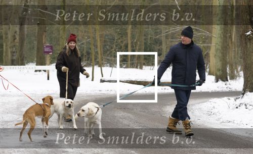 Huizen 11 januari 2026
Linda de Mol en haar partner Jeroen Rietbergen laten in een koud Huizen hun twee honden uit . Ze zijn beide warm aangekleed .