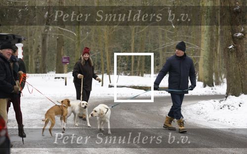 Huizen 11 januari 2026
Linda de Mol en haar partner Jeroen Rietbergen laten in een koud Huizen hun twee honden uit . Ze zijn beide warm aangekleed .