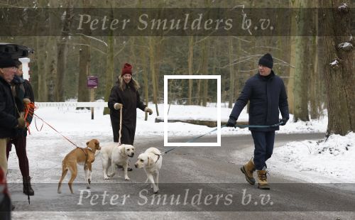 Huizen 11 januari 2026
Linda de Mol en haar partner Jeroen Rietbergen laten in een koud Huizen hun twee honden uit . Ze zijn beide warm aangekleed .