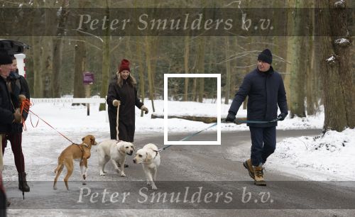 Huizen 11 januari 2026
Linda de Mol en haar partner Jeroen Rietbergen laten in een koud Huizen hun twee honden uit . Ze zijn beide warm aangekleed .