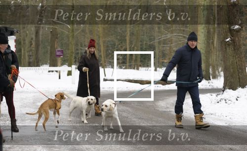 Huizen 11 januari 2026
Linda de Mol en haar partner Jeroen Rietbergen laten in een koud Huizen hun twee honden uit . Ze zijn beide warm aangekleed .