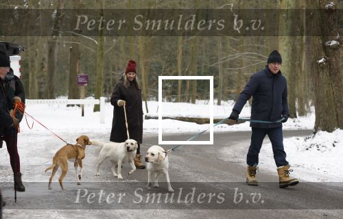 Huizen 11 januari 2026
Linda de Mol en haar partner Jeroen Rietbergen laten in een koud Huizen hun twee honden uit . Ze zijn beide warm aangekleed .