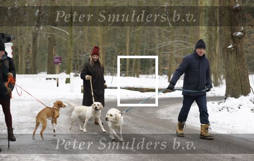 Huizen 11 januari 2026
Linda de Mol en haar partner Jeroen Rietbergen laten in een koud Huizen hun twee honden uit . Ze zijn beide warm aangekleed .