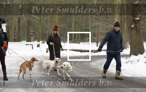 Huizen 11 januari 2026
Linda de Mol en haar partner Jeroen Rietbergen laten in een koud Huizen hun twee honden uit . Ze zijn beide warm aangekleed .