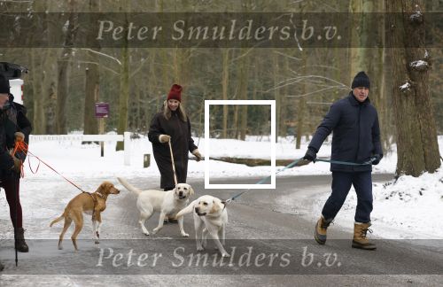 Huizen 11 januari 2026
Linda de Mol en haar partner Jeroen Rietbergen laten in een koud Huizen hun twee honden uit . Ze zijn beide warm aangekleed .
