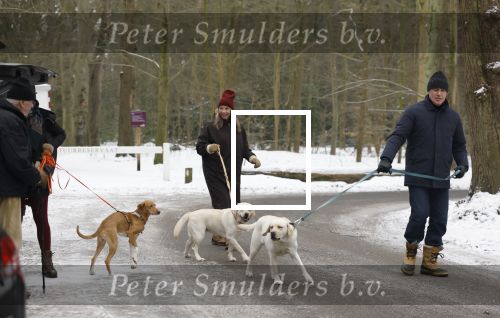 Huizen 11 januari 2026
Linda de Mol en haar partner Jeroen Rietbergen laten in een koud Huizen hun twee honden uit . Ze zijn beide warm aangekleed .