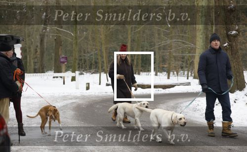 Huizen 11 januari 2026
Linda de Mol en haar partner Jeroen Rietbergen laten in een koud Huizen hun twee honden uit . Ze zijn beide warm aangekleed .