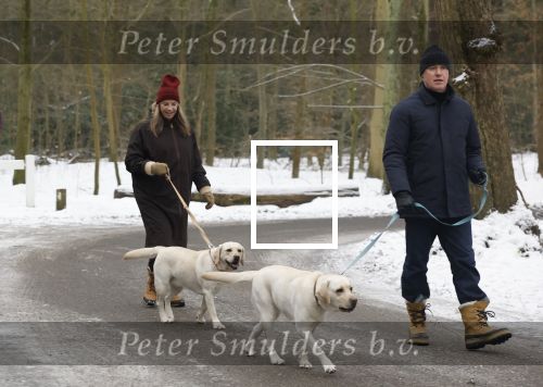 Huizen 11 januari 2026
Linda de Mol en haar partner Jeroen Rietbergen laten in een koud Huizen hun twee honden uit . Ze zijn beide warm aangekleed .
