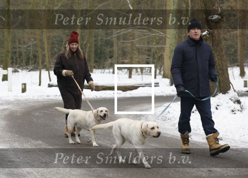 Huizen 11 januari 2026
Linda de Mol en haar partner Jeroen Rietbergen laten in een koud Huizen hun twee honden uit . Ze zijn beide warm aangekleed .