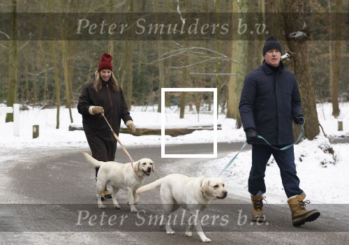 Huizen 11 januari 2026
Linda de Mol en haar partner Jeroen Rietbergen laten in een koud Huizen hun twee honden uit . Ze zijn beide warm aangekleed .