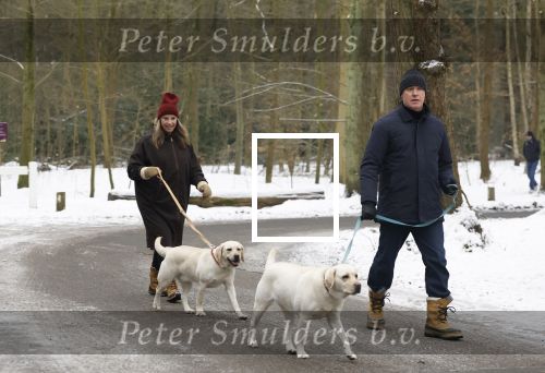 Huizen 11 januari 2026
Linda de Mol en haar partner Jeroen Rietbergen laten in een koud Huizen hun twee honden uit . Ze zijn beide warm aangekleed .
