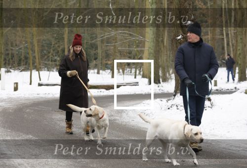 Huizen 11 januari 2026
Linda de Mol en haar partner Jeroen Rietbergen laten in een koud Huizen hun twee honden uit . Ze zijn beide warm aangekleed .