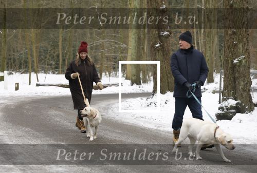 Huizen 11 januari 2026
Linda de Mol en haar partner Jeroen Rietbergen laten in een koud Huizen hun twee honden uit . Ze zijn beide warm aangekleed .