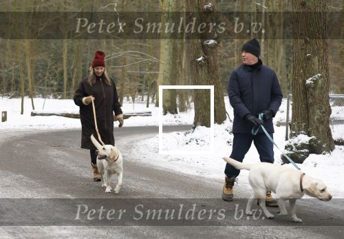 Huizen 11 januari 2026
Linda de Mol en haar partner Jeroen Rietbergen laten in een koud Huizen hun twee honden uit . Ze zijn beide warm aangekleed .