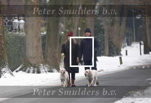Huizen 11 januari 2026
Linda de Mol en haar partner Jeroen Rietbergen laten in een koud Huizen hun twee honden uit . Ze zijn beide warm aangekleed .