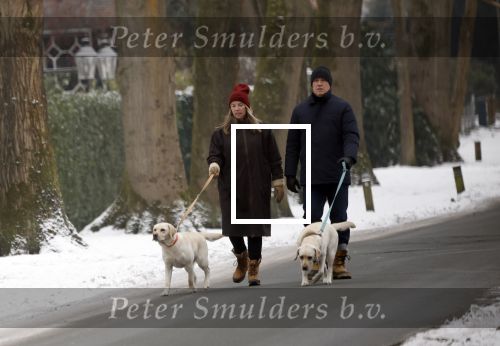Huizen 11 januari 2026
Linda de Mol en haar partner Jeroen Rietbergen laten in een koud Huizen hun twee honden uit . Ze zijn beide warm aangekleed .