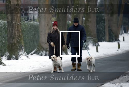 Huizen 11 januari 2026
Linda de Mol en haar partner Jeroen Rietbergen laten in een koud Huizen hun twee honden uit . Ze zijn beide warm aangekleed .