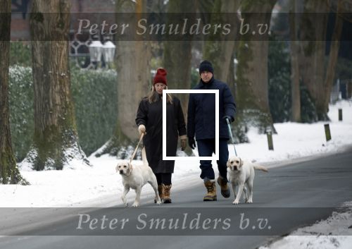 Huizen 11 januari 2026
Linda de Mol en haar partner Jeroen Rietbergen laten in een koud Huizen hun twee honden uit . Ze zijn beide warm aangekleed .