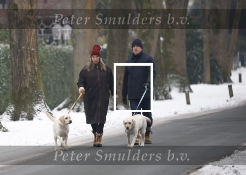 Huizen 11 januari 2026
Linda de Mol en haar partner Jeroen Rietbergen laten in een koud Huizen hun twee honden uit . Ze zijn beide warm aangekleed .