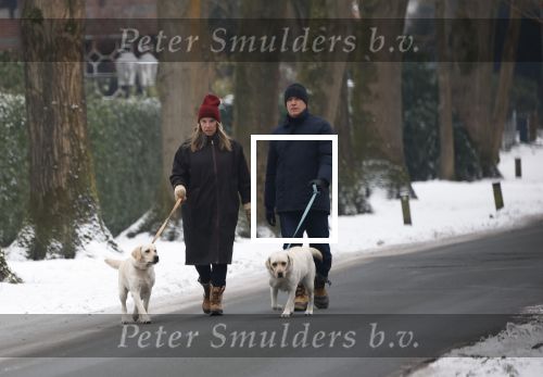 Huizen 11 januari 2026
Linda de Mol en haar partner Jeroen Rietbergen laten in een koud Huizen hun twee honden uit . Ze zijn beide warm aangekleed .