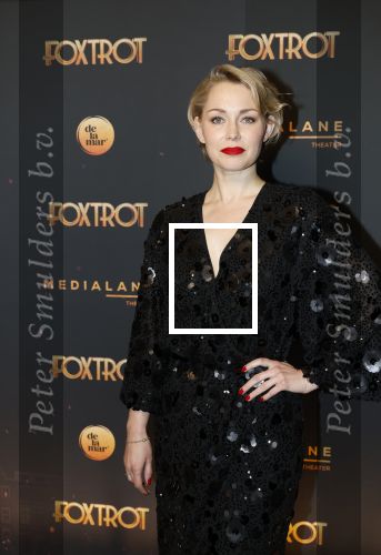 Amsterdam 18 januari 2025
Premiere Foxtrot in het deLaMar theater . Maartje van de Wetering met partner JosÃ© Luis Sogorb
