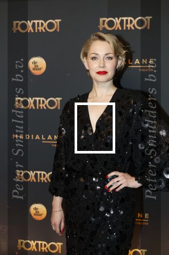 Amsterdam 18 januari 2025
Premiere Foxtrot in het deLaMar theater . Maartje van de Wetering met partner JosÃ© Luis Sogorb